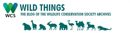 WWF