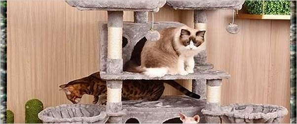 best cat tree for multiple cats