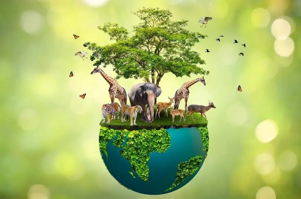 Unleash the Power of XE Điện for a Greener Tomorrow and Save Big Today!