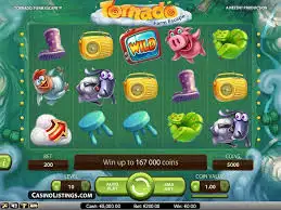 fun88 ảchi